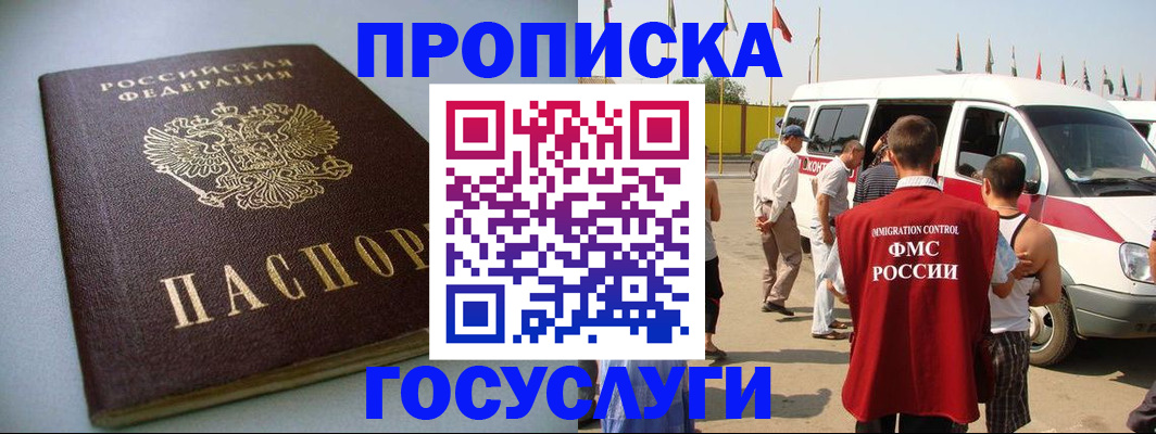 временная регистрация госуслуги в Палласовке